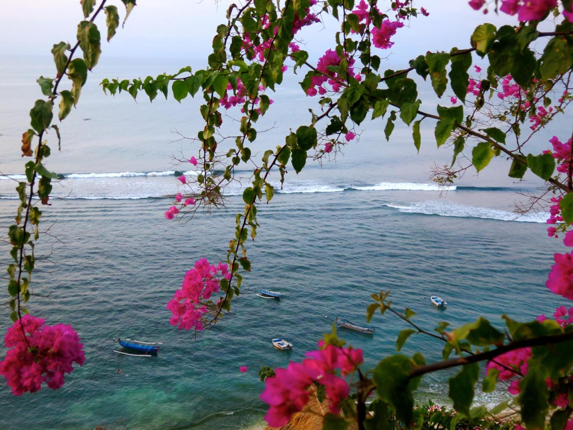 Acacia Bungalows Bingin Uluwatu Εξωτερικό φωτογραφία